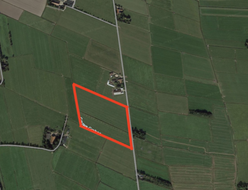 Objekt-Nr. 1132: Jetzt in Grund und Boden investieren! -Weideflächen in Butjadingen-Stollhamm-